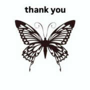 ヒメ日記 2025/03/17 02:49 投稿 あげは イエローキャブ