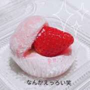 ヒメ日記 2025/03/20 16:10 投稿 さえ 京都人妻デリヘル倶楽部