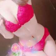 ヒメ日記 2025/02/24 09:10 投稿 かなえ オペラ