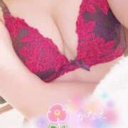 ヒメ日記 2026/01/08 12:30 投稿 かなえ オペラ