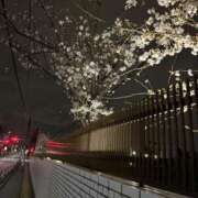 ヒメ日記 2025/03/29 00:47 投稿 ゆきほ 熟女の風俗最終章 池袋店