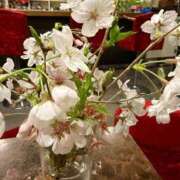 ヒメ日記 2025/04/03 15:02 投稿 ゆきほ 熟女の風俗最終章 池袋店