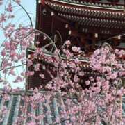 ヒメ日記 2025/04/09 18:45 投稿 ゆきほ 熟女の風俗最終章 池袋店