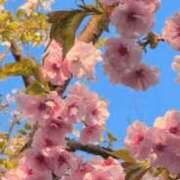 ヒメ日記 2025/05/17 22:42 投稿 ゆきほ 熟女の風俗最終章 池袋店