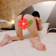 ヒメ日記 2025/05/30 20:23 投稿 あきな しろうさぎ