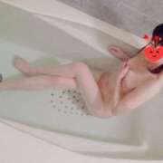 ヒメ日記 2025/06/25 08:03 投稿 あきな しろうさぎ