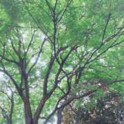 ヒメ日記 2025/05/13 12:25 投稿 あゆな サンキュー仙台店