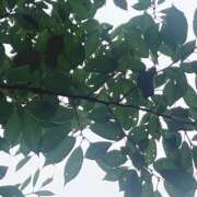 ヒメ日記 2025/09/13 14:25 投稿 あゆな サンキュー仙台店