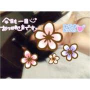 ヒメ日記 2025/09/08 22:42 投稿 あやめ TSUBAKI(つばき)土浦店