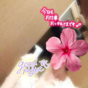 ヒメ日記 2025/09/17 21:03 投稿 あやめ TSUBAKI(つばき)土浦店
