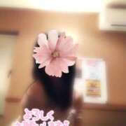 ヒメ日記 2025/11/11 08:24 投稿 あやめ TSUBAKI(つばき)土浦店