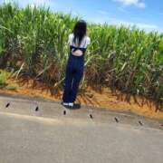 ヒメ日記 2025/05/26 11:28 投稿 星咲ゆい Darlin Premium(ダーリンプレミアム)