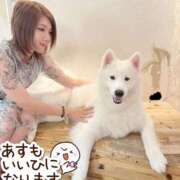 ヒメ日記 2025/10/17 22:02 投稿 星咲ゆい Darlin Premium(ダーリンプレミアム)