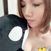 ヒメ日記 2025/11/13 00:26 投稿 星咲ゆい Darlin Premium(ダーリンプレミアム)