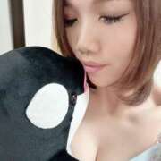 ヒメ日記 2026/09/15 09:29 投稿 星咲ゆい Darlin Premium(ダーリンプレミアム)