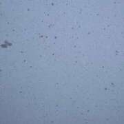 ヒメ日記 2026/01/02 18:37 投稿 りか Funky Milky Baby（ファンキーミルキーベイビー）