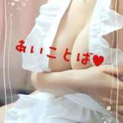 ヒメ日記 2025/11/01 09:49 投稿 うみの 船橋桃色の妻たち