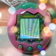 ヒメ日記 2025/12/23 12:19 投稿 うみの 船橋桃色の妻たち