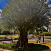 ヒメ日記 2025/03/07 00:25 投稿 佐々波エヴァ Mrs. Dandy shinagawa