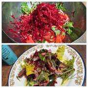 ヒメ日記 2025/04/07 07:36 投稿 佐々波エヴァ Mrs. Dandy shinagawa