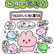 ヒメ日記 2025/04/23 22:19 投稿 えり CECIL