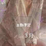 ヒメ日記 2026/03/11 07:04 投稿 神里いずは 禁断のメンズエステR-18堺・南大阪店