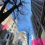 ヒメ日記 2025/01/24 14:12 投稿 すずか マダムの品格