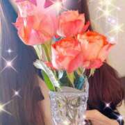 ヒメ日記 2025/02/20 09:09 投稿 すずか マダムの品格