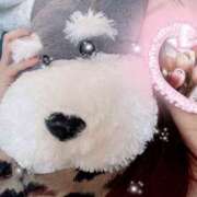 ヒメ日記 2025/03/03 07:12 投稿 すずか マダムの品格