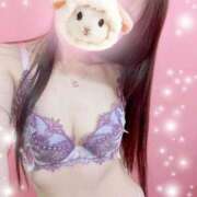 ヒメ日記 2025/03/11 13:15 投稿 すずか マダムの品格