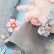 ヒメ日記 2025/03/13 10:39 投稿 すずか マダムの品格