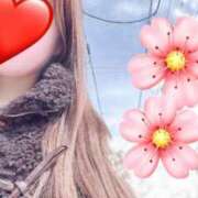 ヒメ日記 2025/03/18 13:00 投稿 すずか マダムの品格