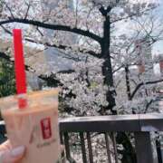 ヒメ日記 2025/03/31 10:35 投稿 すずか マダムの品格