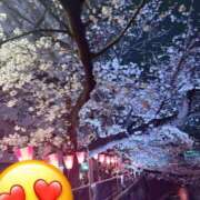 ヒメ日記 2025/04/01 13:26 投稿 すずか マダムの品格