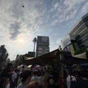 ヒメ日記 2025/05/05 00:05 投稿 すずか マダムの品格