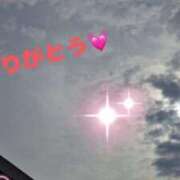 ヒメ日記 2025/05/05 09:18 投稿 すずか マダムの品格