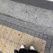 ヒメ日記 2025/05/08 15:05 投稿 すずか マダムの品格