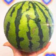 ヒメ日記 2025/05/22 15:21 投稿 すずか マダムの品格