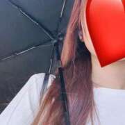 ヒメ日記 2025/06/22 11:09 投稿 すずか マダムの品格