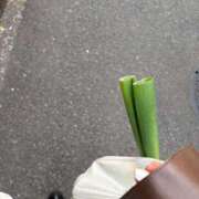 ヒメ日記 2025/11/11 17:59 投稿 すずか マダムの品格