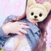 すずか おはようございます マダムの品格