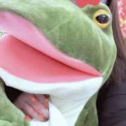 ヒメ日記 2026/02/03 00:15 投稿 すずか マダムの品格