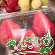 ヒメ日記 2026/02/22 13:55 投稿 すずか マダムの品格