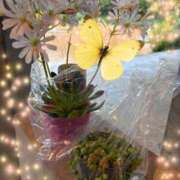 ヒメ日記 2026/02/27 14:15 投稿 すずか マダムの品格