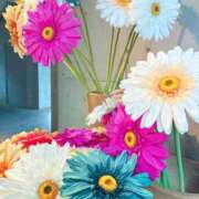 ヒメ日記 2026/03/04 12:23 投稿 すずか マダムの品格