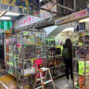 ヒメ日記 2026/03/19 12:04 投稿 すずか マダムの品格