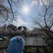 ヒメ日記 2026/04/05 11:12 投稿 すずか マダムの品格