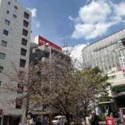 ヒメ日記 2026/04/06 11:41 投稿 すずか マダムの品格