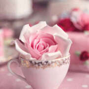 ヒメ日記 2025/07/16 23:14 投稿 ちさ 美熟女倶楽部Hip's 春日部店