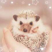 ヒメ日記 2025/09/23 17:53 投稿 ちさ 美熟女倶楽部Hip's 春日部店